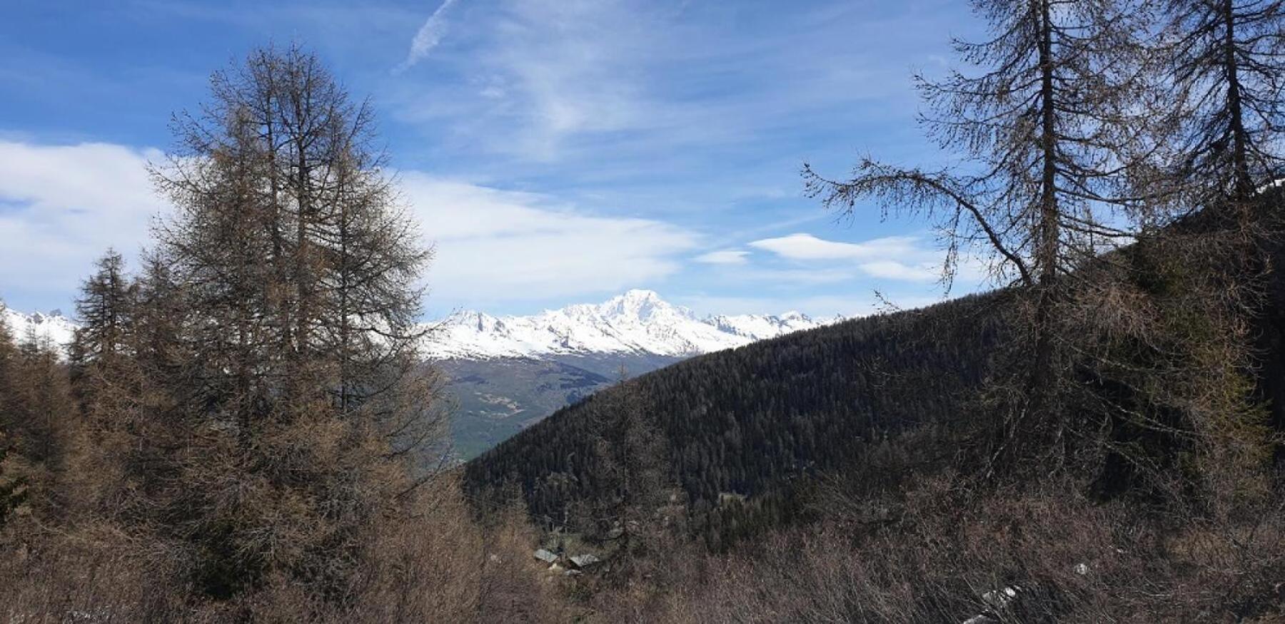 Residence Plagne Lauze - Maeva Home - Appartement 2 Pieces 5 Personnes - Confort Mae-9202 Macot-la-Plagne Buitenkant foto